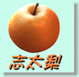 志太梨