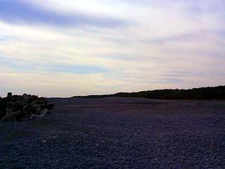 �l3
