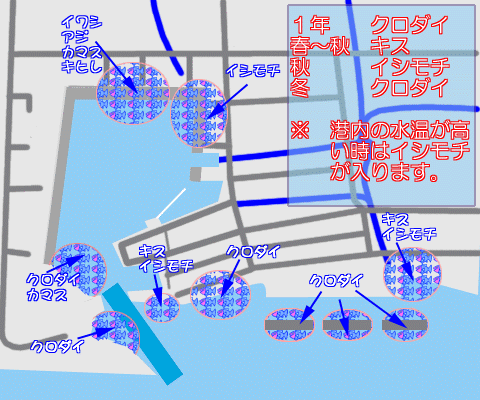 ނMAP